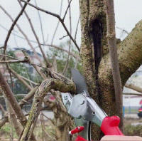 Tijeras De Poda Para Jardín Powerful Grape Especial Para Ramas Gruesas Y Árboles Frutales Podadoras De Acero Inoxidable Manija Plástica Herramienta De Poda De Bonsái - details 9