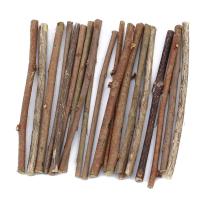20/40/60PCS De Palos De Madera Para Manualidades Mini Ramas Naturales Para Accesorios De Fotos Decoración Del Hogar DIY - details 3
