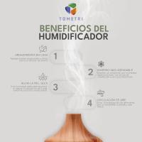 Difusor de Aceites Esenciales, Difusor de Aromas y Esencias 300ml, Humidificador con Aceites Esenciales, 7 Colores Distintos, Ambientadores de Hogar, Humidificador de Aromas Cable USB. - details 10