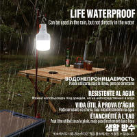 Bombilla LED Recargable USB Para Exteriores Luz De Emergencia Portátil Para Camping Y Pesca Con Gancho Iluminación Nocturna De Alta Brillo - details 6