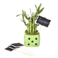 Etiquetas De Pantry Mini Tablero De Cera 10 Piezas Decorativas En Madera Para Niños Etiquetas De Chalkboard Para Decoración Del Hogar - details 9