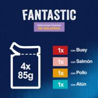 FELIX - Fantastic Gelatina (48x85 gr) - Comida Húmeda Selecciones Favoritas (Pollo, Salmón, Atún y Buey) (12x4x85 gr) - details 0