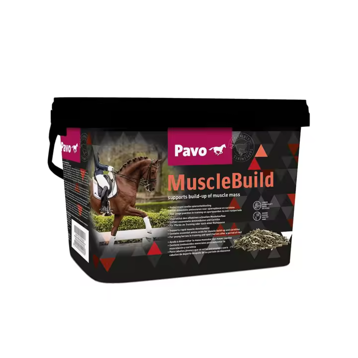 Suplemento para caballos PAVO MUSCLEBUILD cubo de 3 kg - 1
