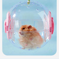 Juguete De Ejercicio Para Rattus Y Ratones Pequeños Sphynx Y Hamsters Pelota Deportiva Al Aire Libre Ratón Juguete De Correr 12CM - details 5
