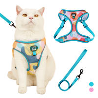 Nueva Llegada De Correa Y Amigo De Mascota Ajustable Con Diseño Moda En Malla Suave Para Gatos Y Perros Conjunto De Correa Y Amigo De Mascota - details 9