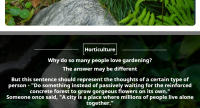 1pc Herramienta De Jardín De Acero Inoxidable Con Mango De Roble Para Malear Sembrar Transplantar Y Excavar - details 15