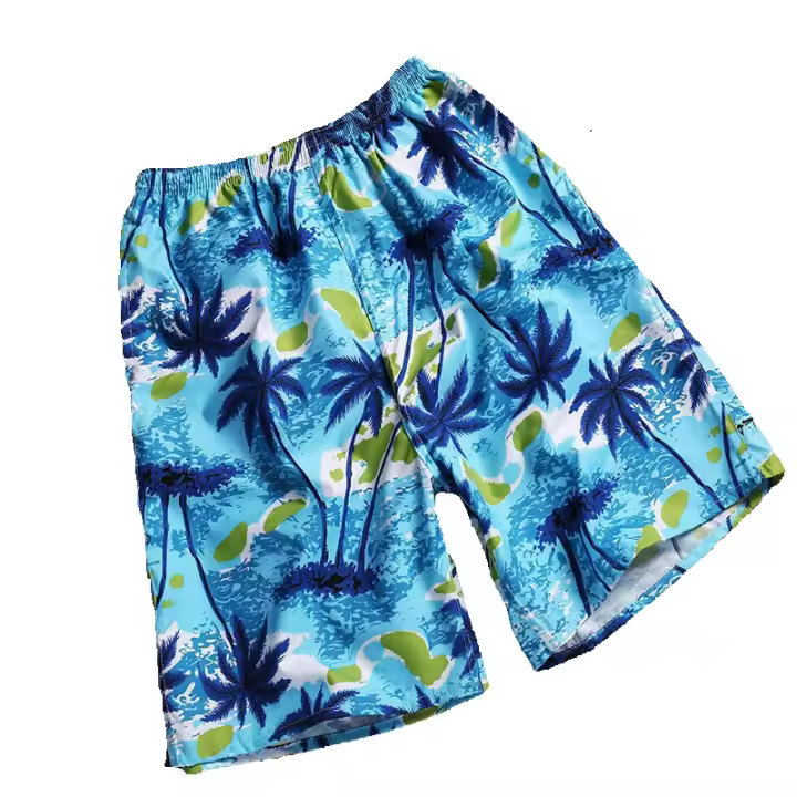 Bañador para Hombre, Playa Traje de Baño para Natacion Secado ràpido para Vacaciones,para más circunstancia,ideal para Natación, surf, Playa y pool. - 1