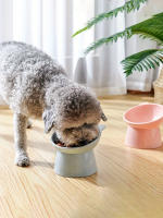 Tazón De Alimentos Para Mascotas Con Diseño Bevelado Protector De La Cuello Del Perro Alimentador De Alta Calidad Para Mascotas - details 0