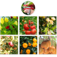 Multifuncional Cuchillo De Dedo Para Jardín Alicate De Podar Frutas Dispositivo De Recogida De Fruta Herramienta De Corte Con Protector De Anillos Y Atrape Mano - details 2