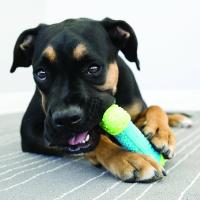 KONG Juguete Para Perros Corestrength Bone S - details 1