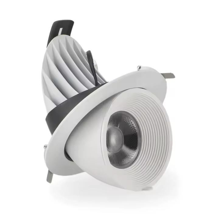 IluminaShop - Foco Downlight LED Basculante 30W Orientable Blanco CCT - 1