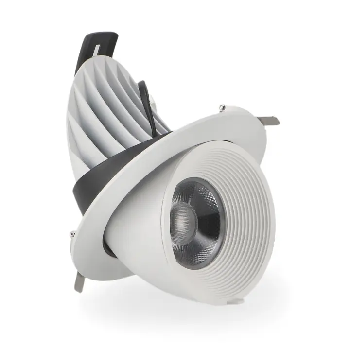 IluminaShop - Foco Downlight LED Basculante 30W Orientable Blanco CCT - 1