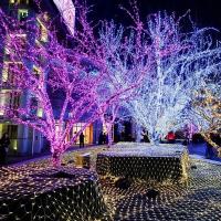 Luces De Navidad De Cadena 10m 20m Con Enchufe Guirnalda De Hadas LED Para Decoración De Hogar Árbol De Navidad Boda Fiesta - details 10