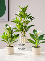 Plantas Artificiales De Azalea 21-40cm Falsas Hojas De Palma Tropicales Ficus Faux Con Flores Para Decoración De Hogar - details 0