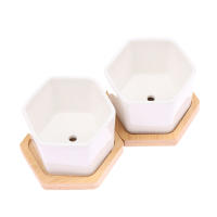 Maceta De Cerámica Blanca Para El Hogar Con Bandeja Hexagonal Sencillo Estilo Europeo Contenedor De Planta Para Suculentas Pequeña Maceta Para Bonsái - details 14