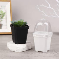 Juego De 5 Macetas Cuadradas Pequeñas Con Domos De Humedad Transparentes Para Plantas En Iniciación Moderno Estilo Plástico - details 4