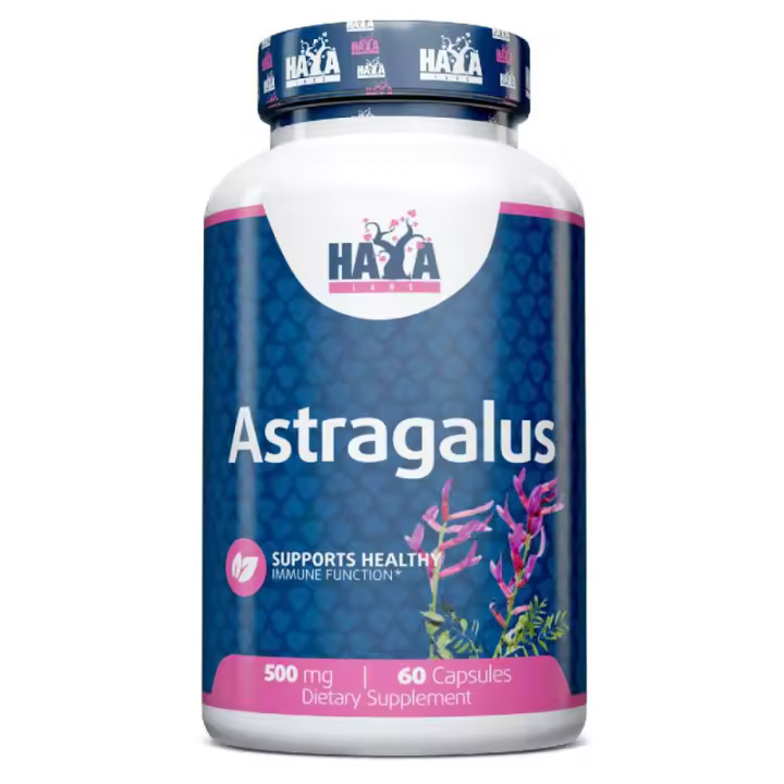 HAYA LABS Astragalus 500 mg. - 60 Caps. - 1