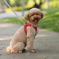 Juego De Correa Y Arnés Ajustable Para Perros Pequeños Vestido De Gato Pupilo Chihuahua Pug Bulldog Francesés Caminar Al Aire Libre - details 11