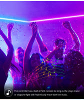 Tira De Luces LED 12V Neón Inteligente WiFi Bluetooth RGB Para Decoración De Habitaciones Compatible Con Alexa Y Google Home - details 6