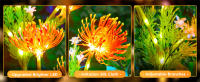 Lámpara Solar LED Impermeable IP65 Para Jardín Iluminación De Paisaje Exterior Para Camino Jardín Prado Atrás De La Casa Decoración Flor - details 15