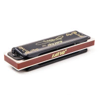 Harmonica Diatónica East Top Blues En Línea De C 10 Agujeros 20 Notas Para Profesionales Estudiantes Adultos Harpa De Plata 008K - details 4