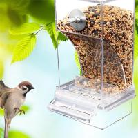 Alimentador Y Bebedor Automático Para Pájaros Acrylic Caja De Alimentos Para Pequeños Y Medianos Pericos Accesorios De Jaula - details 0