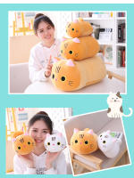 Cojín De Peluche Gato Lindo De 25 Cm Juguete De Peluche Animal Para Niñas Regalo De Cumpleaños Niños Juguete De Peluche Gato Kawaii - details 0