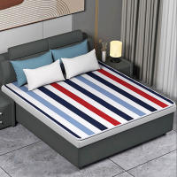 Manta Eléctrica Con Termostato Automático Calefactor De Cama Calentador De Matrícula 220V Para Dormitorio Calentador Rápido - details 12