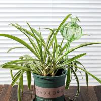 Globos Autoidalizadores Para Plantas Jardín Globos De Riego Autónomo Para Cactus Vidrio Para Exterior E Interior - details 4