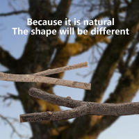Accesorios Para Jaula De Pájaros Parrot Perch: Ramas De Madera Para Pájaros Juguetes Para Pájaros Escaleras Para Pájaros - details 3