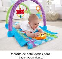Fisher Price Gimnasio 2 en 1 Musical Bajo el Mar Mattel DRD92 - details 3