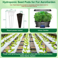 50 Pack Esponjas De Crecimiento De Semillas Hydroponicas Iniciador Reemplazo Para El Crecimiento De Raíces Accesorios De Jardinería - details 8