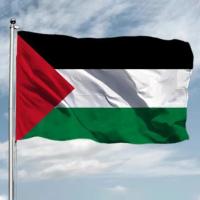 Bandera De Palestina 150 X 90 Cm De Alta Calidad Poliéster Para Adornos Banderera De GazaPalestina Material De Carbono - details 0
