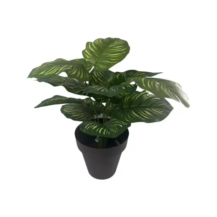 Poenia Arte Floral - Planta Artificial Raya En Maceta 47cm - REF 620229-6 - Decoración - 1