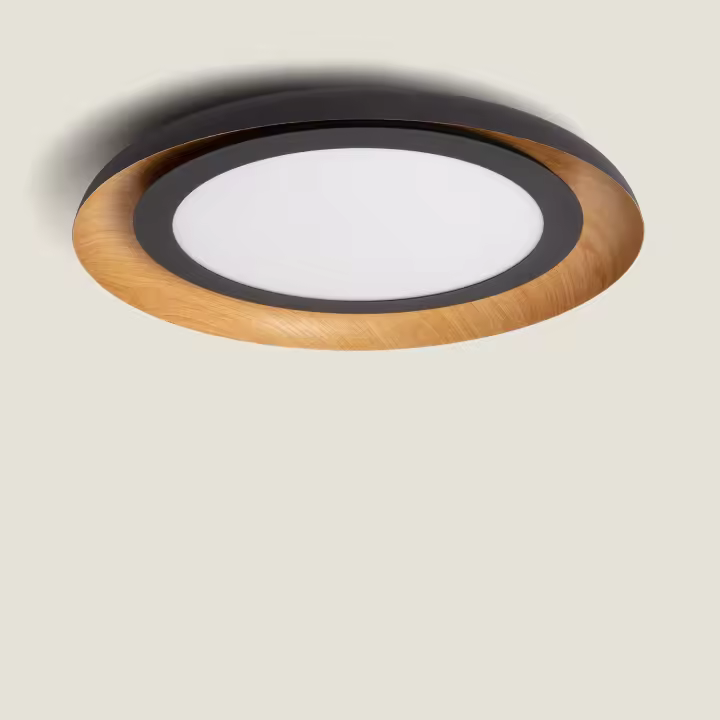 Plafón de Techo LED 30W Metal Garter - 1