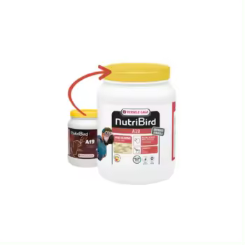 Versele-Laga Papilla Nutribird A19 Alta Energía para Polluelos de Aves - 1