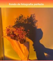 Lámpara De Puesta De Sol USB Proyector De Ambiente Para Decoración De Habitaciones Y Salones Luz Nocturna Para Bar Y Fotografía - details 3