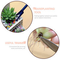 Juego De Herramientas De Jardinería 12PCS Para Plantas Miniatura Fairy Transplantación De Suculentas Y Bonsái Herramientas Manuales De Jardinería - details 8