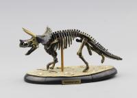 JSXuan Kit De Artesanía De Dinosaurios: Esqueleto De Triceratops Mamut Y Rex De Bones Asamblea Fósiles Para Jóvenes Y Adultos - details 3