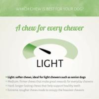 ANTOS Chicken D’light Sticks (400 gr) - Snack Natural para Perros 100% Pollo Sin Gluten, Sin Cereales y Bajo en Grasa (Todas las Edades) - details 1