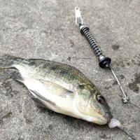 Flotador De Pesca Automático Portátil 1pc Accesorios De Tackle De Pesca Iluminación Rápida Flotador Bobber Para Agua Dulce Y Salada - details 13