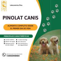 PINOLAT CANIS – Leche en polvo para perros cachorros de Laboratorios Pino + cacillo medidor + biberón. 500Gr. - details 1