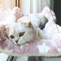 Colchón Para Gatos Universal De Todas Las Estaciones Con Soporte De Escalada Para Ventanas Y Balcones Absorbedor De Sución Para Mascotas Material Oxford - details 0