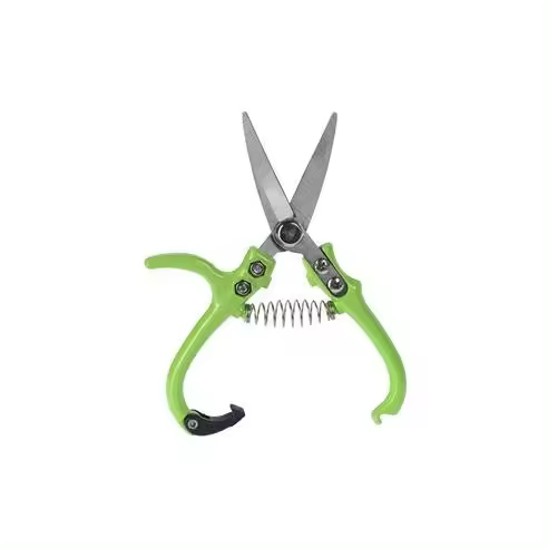 IPAE PROGARDEN Tijeras de podar 16,5cm (hoja de 5,5cm) color verde - 1