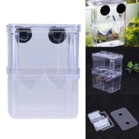 Caja De Cría De Peces Ornamentales Multifuncional Incubador De Peces Y Camarones Doble Caja De Cría De Guppys Betta - details 7