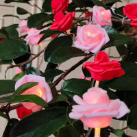 Luces De Navidad LED Rosa 20 Piezas Operadas Por Batería Para Decoración De Fiesta De Boda Y Valentín Guirnalda De Flores Fairy - details 5