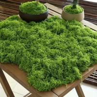 1/5/8pcs Moss Artificial Simulado Para Decoración De Jardín Plantas Verdes Silken Para Decoración De Macetas Y Exposiciones - details 4