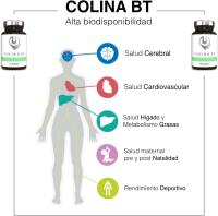 Bitartrato de Colina Activa 250 mg【sin Gluten/OGM/Aditivos】60 Cáps Veganas, Nootrópico 100% Natural | Función Cerebral, Metabolismo y Salud Hepática, Precursor de la Acetilcolina (Colina BT | BestMe Lab) - details 4