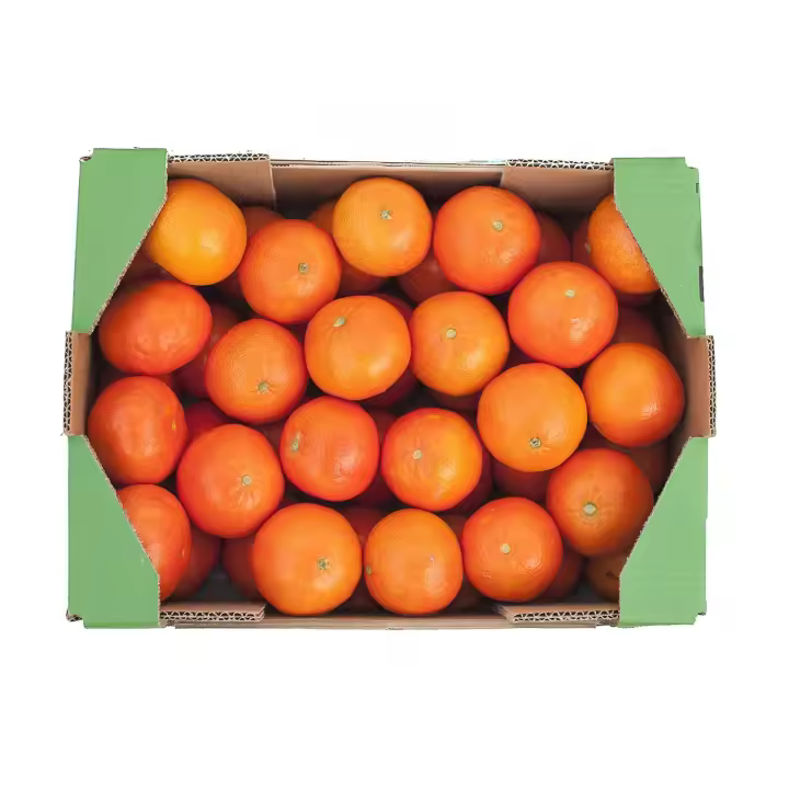 Deliciosas mandarinas de calidad 4 kilo o 9 kilo estándar con un sabor, forma y textura muy agradables - 1