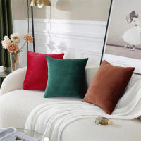 Cubiertas De Cojín Suaves De Terciopelo 45x45cm Lavables Cubierta De Almohada Decorativa Cuadrada JAF093 Para Sofá Silla - details 1